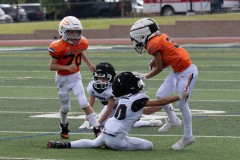 8-23-25-Mountian-Lion-vs-Bears-©Bruce-Ryman-3497