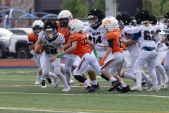 8-23-25-Mountian-Lion-vs-Bears-©Bruce-Ryman-3830
