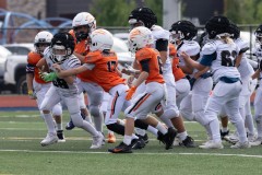 8-23-25-Mountian-Lion-vs-Bears-©Bruce-Ryman-3832