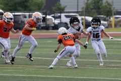 8-23-25-Mountian-Lion-vs-Bears-©Bruce-Ryman-3887