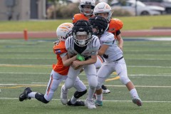 8-23-25-Mountian-Lion-vs-Bears-©Bruce-Ryman-3899