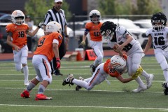 8-23-25-Mountian-Lion-vs-Bears-©Bruce-Ryman-4082