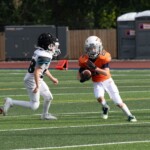 8-23-25-Mountian-Lion-vs-Bears-©Bruce-Ryman-2442